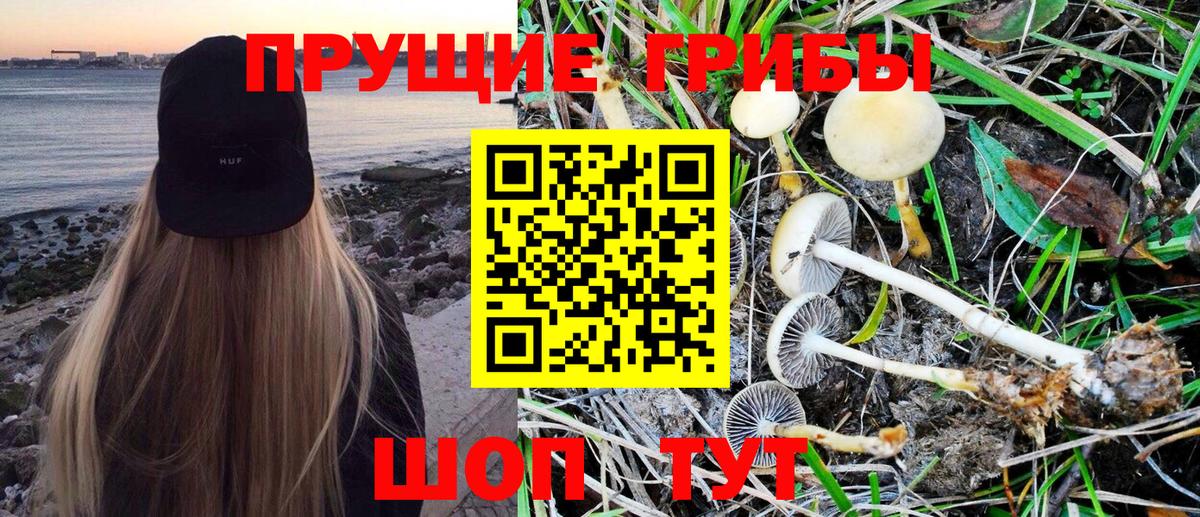 Псилоцибиновые грибы Magic Shrooms  Галлюциногенные грибы прущие грибы  что такое наркотик  Вход с VPN  Лосино-Петровский 